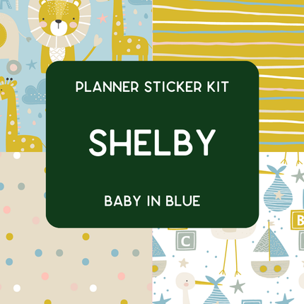 Amplify Planner Stickers | Weekly Kit | Shelby