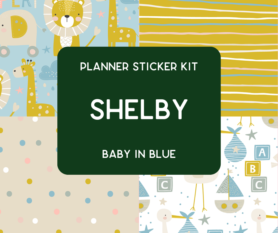 Amplify Planner Stickers | Weekly Kit | Shelby