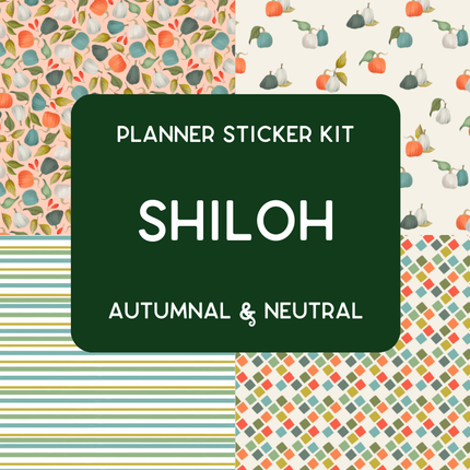 Amplify Planner Stickers | Weekly Kit | Shiloh