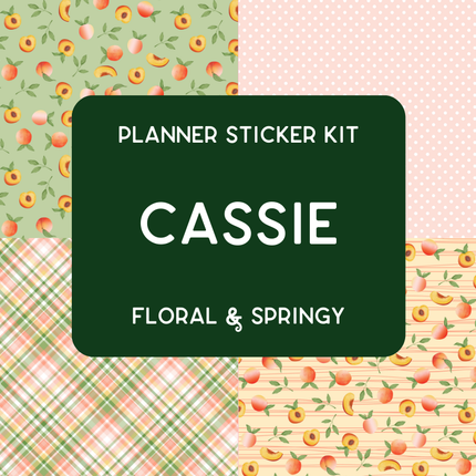 Amplify Planner Stickers | Weekly Kit | Cassie