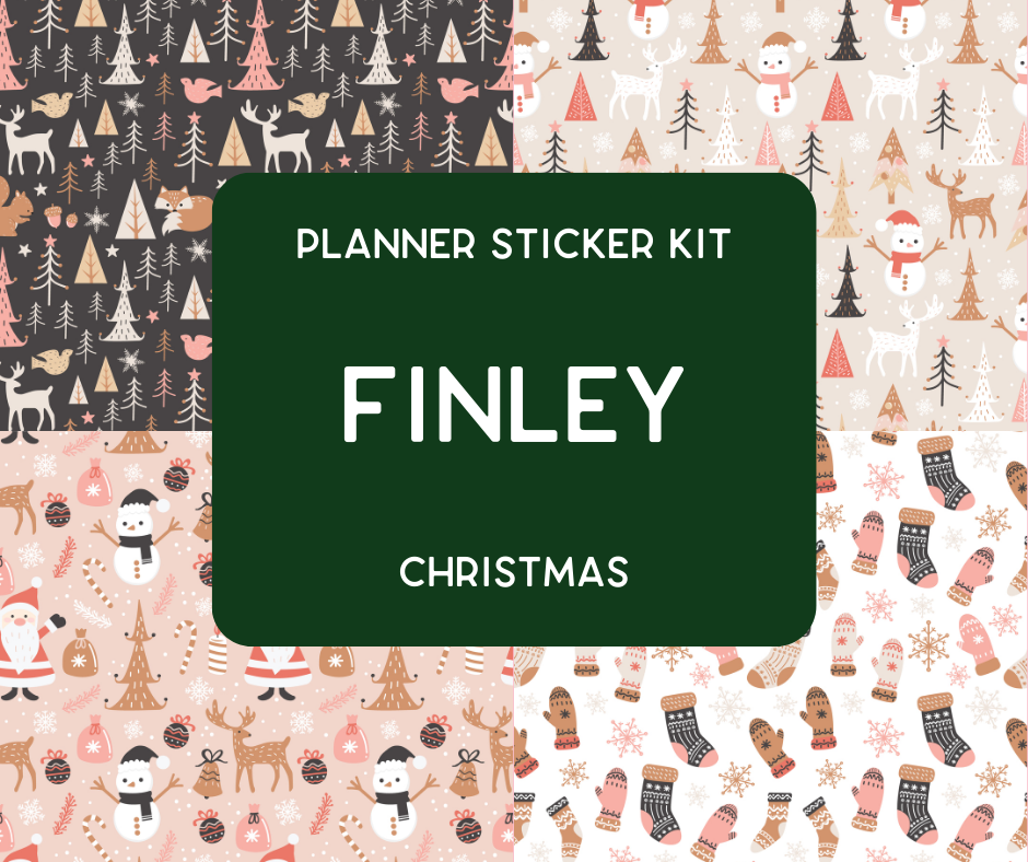 Amplify Planner Stickers | Weekly Kit | Finley