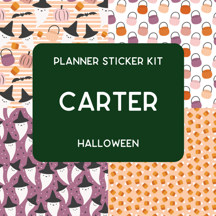 Amplify Planner Stickers | Weekly Kit | Carter
