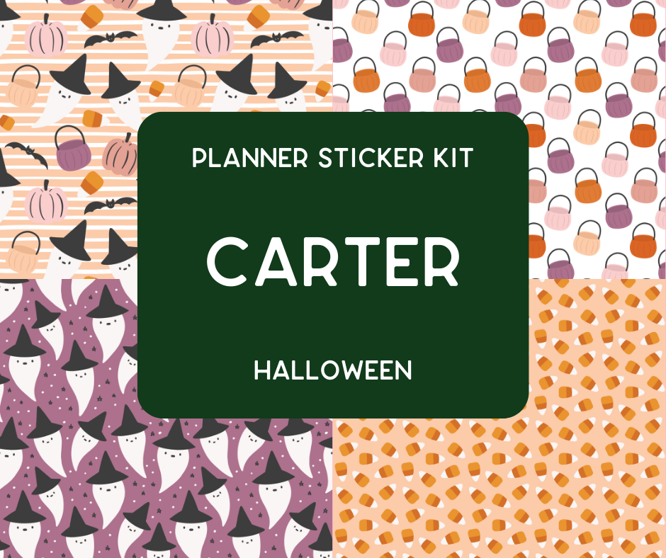 Amplify Planner Stickers | Weekly Kit | Carter