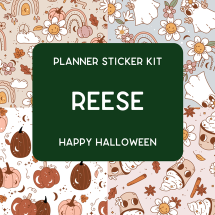 Amplify Planner Stickers | Weekly Kit | Reese