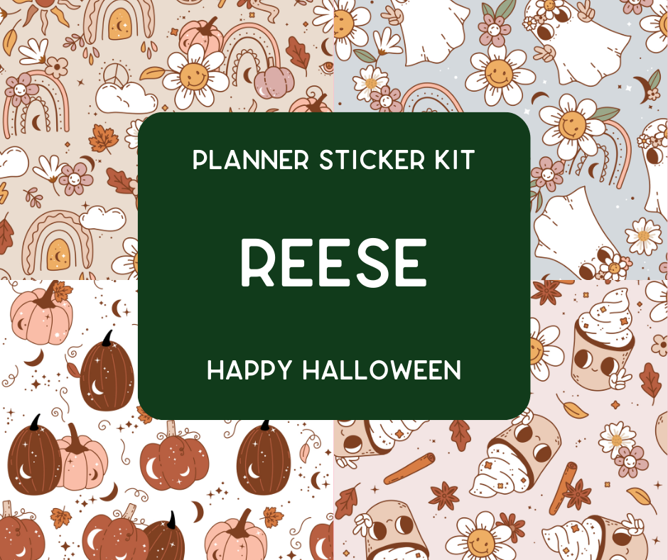 Amplify Planner Stickers | Weekly Kit | Reese