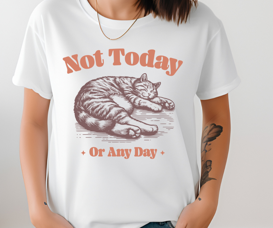 Comfort Colors Tee | Not Today Funny Cat [372]