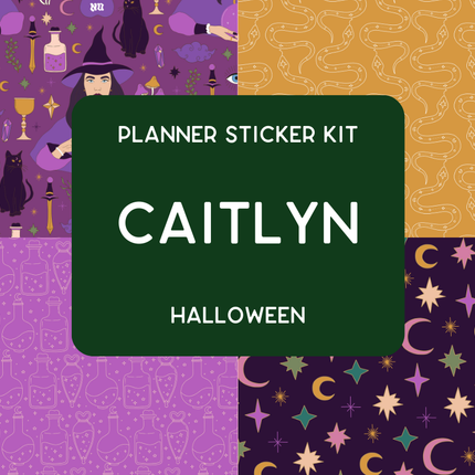 Amplify Planner Stickers | Weekly Kit | Caitlyn