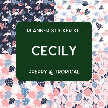 Amplify Planner Stickers | Weekly Kit | Cecily