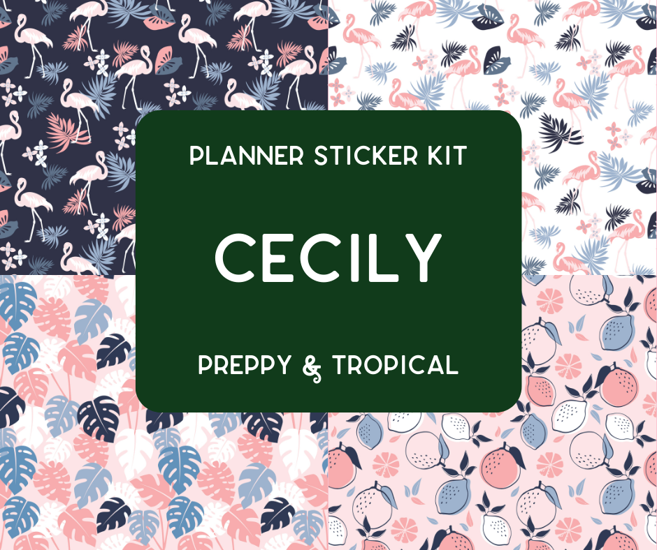 Amplify Planner Stickers | Weekly Kit | Cecily