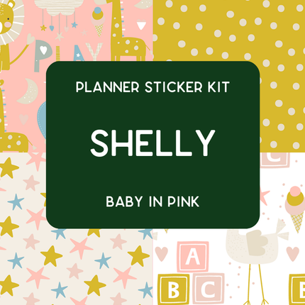 Amplify Planner Stickers | Weekly Kit | Shelly