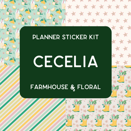 Amplify Planner Stickers | Weekly Kit | Cecelia