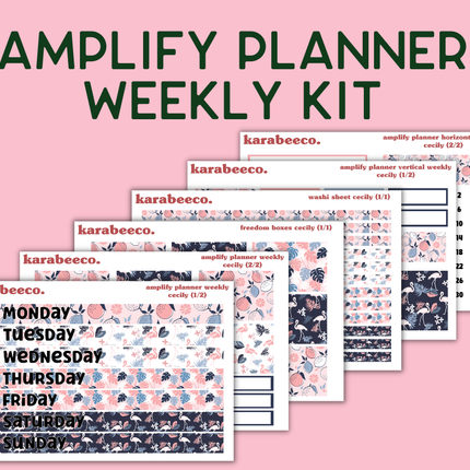 Amplify Planner Stickers | Weekly Kit | Cecily
