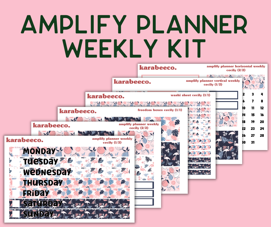 Amplify Planner Stickers | Weekly Kit | Cecily