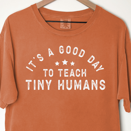 Comfort Colors Tee | It's a Good Day to Teach Tiny Humans [323]