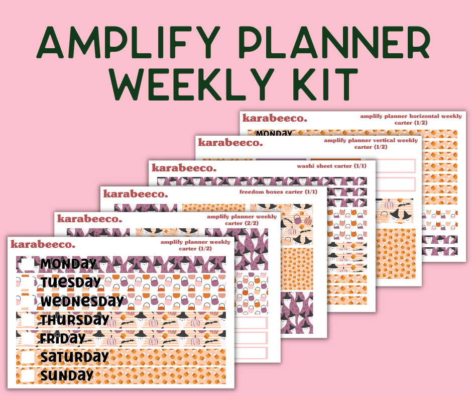 Amplify Planner Stickers | Weekly Kit | Carter