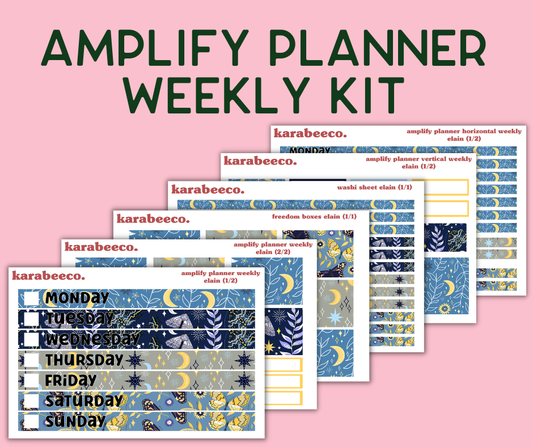 Amplify Planner Stickers | Weekly Kit | Elain