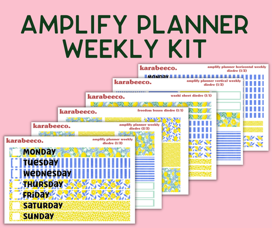 Amplify Planner Stickers | Weekly Kit | Diedre