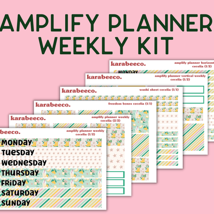 Amplify Planner Stickers | Weekly Kit | Cecelia