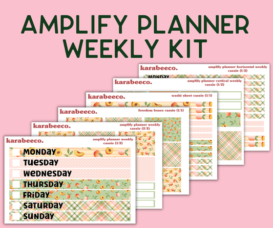 Amplify Planner Stickers | Weekly Kit | Cassie