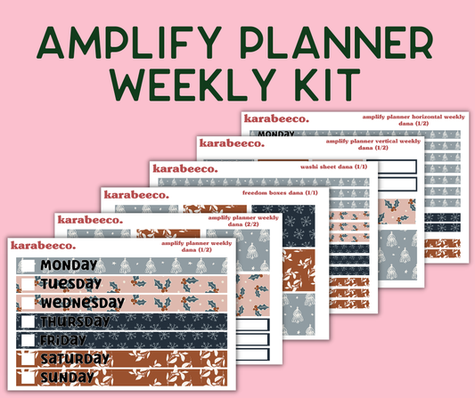 Amplify Planner Stickers | Weekly Kit | Dana