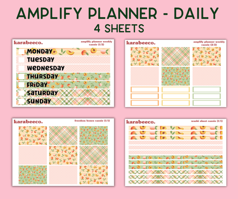 Amplify Planner Stickers | Weekly Kit | Cassie