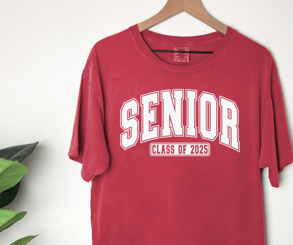 Comfort Colors Tee | Class of 2025 [365]